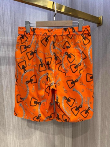 Hermes Beach Shorts-1